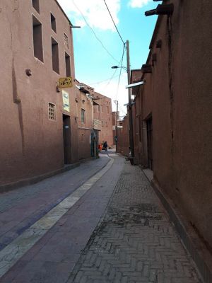 سفر تیم طبیعت گردی مرکز به کاشان ، روستای ابیانه و منظقه کویری: عکس شماره 6 / 12